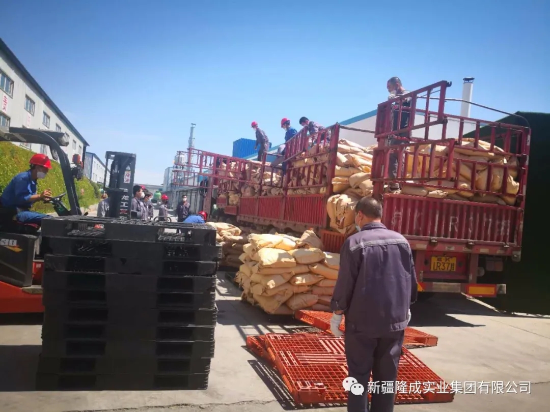 戰(zhàn)疫情，再出發(fā)